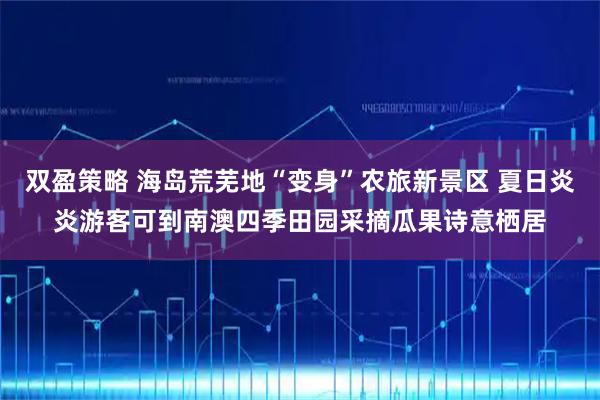 双盈策略 海岛荒芜地“变身”农旅新景区 夏日炎炎游客可到南澳四季田园采摘瓜果诗意栖居